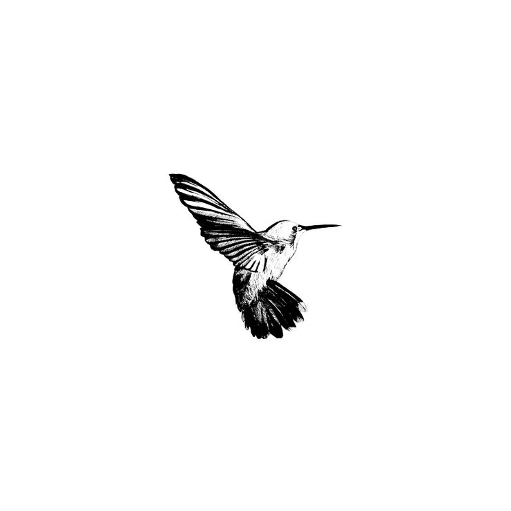 Hummingbird by BPZ (UK)